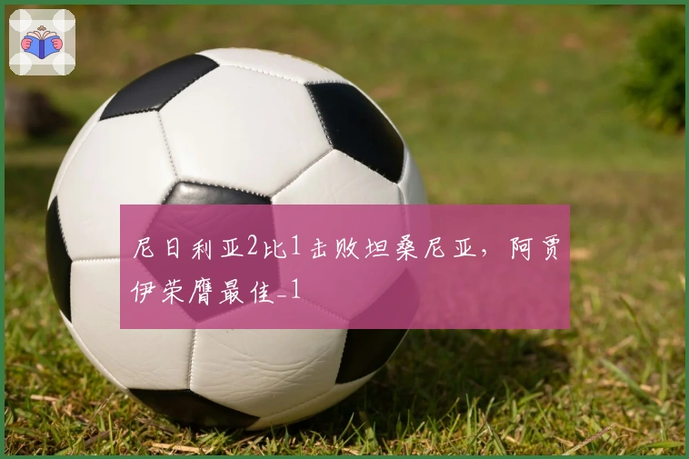 尼日利亚2比1击败坦桑尼亚，阿贾伊荣膺最佳_1