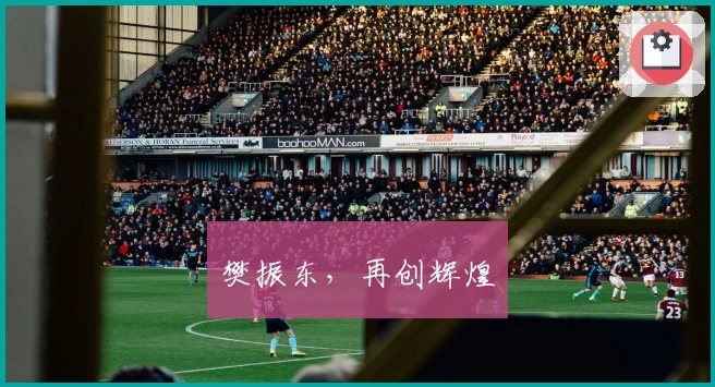 樊振东，再创辉煌