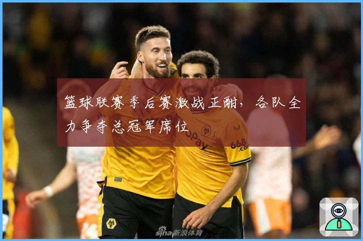 篮球联赛季后赛激战正酣，各队全力争夺总冠军席位